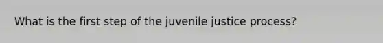 What is the first step of the juvenile justice process?