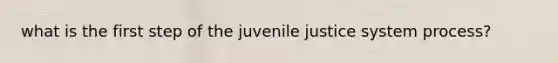 what is the first step of the juvenile justice system process?