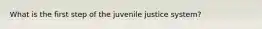 What is the first step of the juvenile justice system?