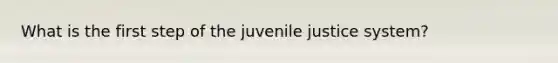 What is the first step of the juvenile justice system?