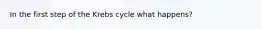 In the first step of the Krebs cycle what happens?