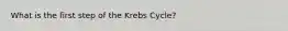 What is the first step of the Krebs Cycle?