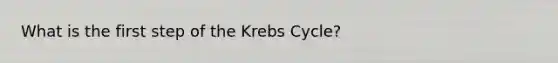 What is the first step of the Krebs Cycle?