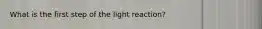 What is the first step of the light reaction?