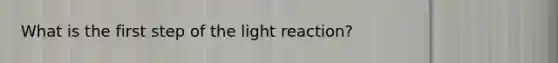 What is the first step of the light reaction?