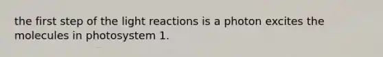 the first step of the light reactions is a photon excites the molecules in photosystem 1.