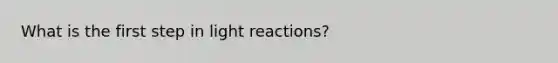 What is the first step in <a href='https://www.questionai.com/knowledge/kSUoWrrvoC-light-reactions' class='anchor-knowledge'>light reactions</a>?