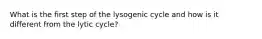 What is the first step of the lysogenic cycle and how is it different from the lytic cycle?