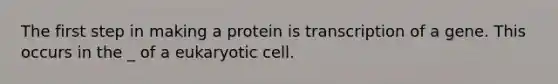 The first step in making a protein is transcription of a gene. This occurs in the _ of a eukaryotic cell.