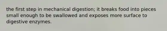 the first step in mechanical digestion; it breaks food into pieces small enough to be swallowed and exposes more surface to digestive enzymes.