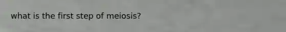 what is the first step of meiosis?