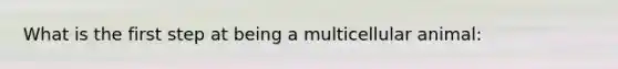 What is the first step at being a multicellular animal: