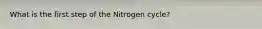 What is the first step of the Nitrogen cycle?