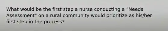 What would be the first step a nurse conducting a "Needs Assessment" on a rural community would prioritize as his/her first step in the process?