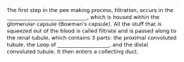 The first step in the pee making process, filtration, occurs in the _______________________________, which is housed within the glomerular capsule (Bowman's capsule). All the stuff that is squeezed out of the blood is called filtrate and is passed along to the renal tubule, which contains 3 parts: the proximal convoluted tubule, the Loop of ____________________, and the distal convoluted tubule. It then enters a collecting duct.