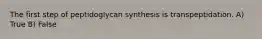 The first step of peptidoglycan synthesis is transpeptidation. A) True B) False