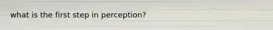 what is the first step in perception?