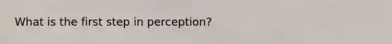 What is the first step in perception?