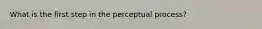 What is the first step in the perceptual process?