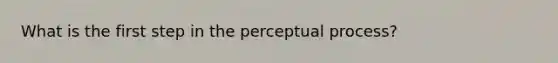 What is the first step in the perceptual process?