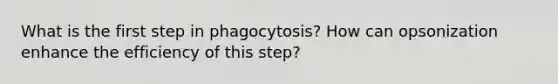 What is the first step in phagocytosis? How can opsonization enhance the efficiency of this step?