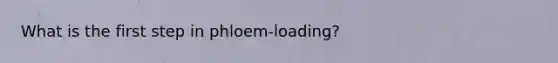 What is the first step in phloem-loading?