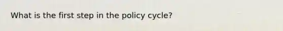 What is the first step in the policy cycle?