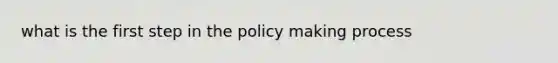 what is the first step in the policy making process