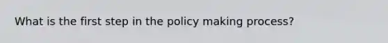 What is the first step in the policy making process?