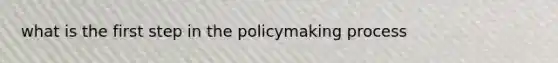 what is the first step in the policymaking process