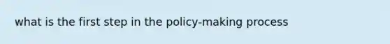 what is the first step in the policy-making process