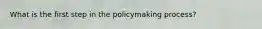What is the first step in the policymaking process?