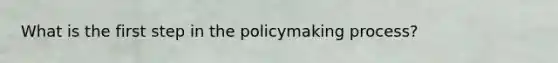 What is the first step in the policymaking process?