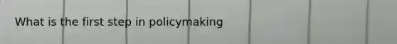 What is the first step in policymaking