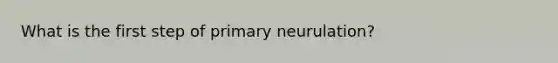 What is the first step of primary neurulation?