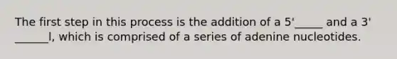 The first step in this process is the addition of a 5'_____ and a 3' ______l, which is comprised of a series of adenine nucleotides.