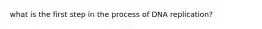 what is the first step in the process of DNA replication?
