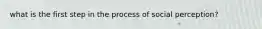 what is the first step in the process of social perception?