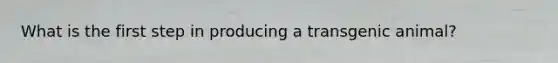 What is the first step in producing a transgenic animal?