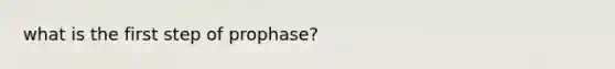 what is the first step of prophase?