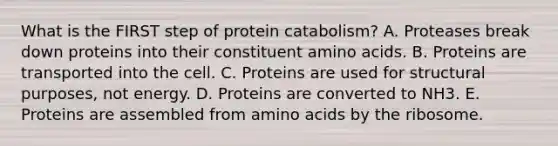 What is the FIRST step of protein catabolism? A. Proteases break down proteins into their constituent <a href='https://www.questionai.com/knowledge/k9gb720LCl-amino-acids' class='anchor-knowledge'>amino acids</a>. B. Proteins are transported into the cell. C. Proteins are used for structural purposes, not energy. D. Proteins are converted to NH3. E. Proteins are assembled from amino acids by the ribosome.