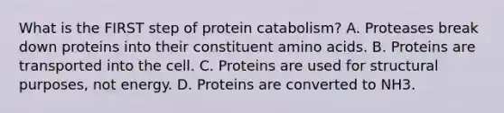 What is the FIRST step of protein catabolism? A. Proteases break down proteins into their constituent amino acids. B. Proteins are transported into the cell. C. Proteins are used for structural purposes, not energy. D. Proteins are converted to NH3.