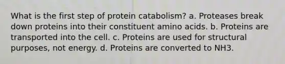 What is the first step of protein catabolism? a. Proteases break down proteins into their constituent amino acids. b. Proteins are transported into the cell. c. Proteins are used for structural purposes, not energy. d. Proteins are converted to NH3.