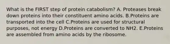 What is the FIRST step of protein catabolism? A. Proteases break down proteins into their constituent amino acids. B.Proteins are transported into the cell C.Proteins are used for structural purposes, not energy D.Proteins are converted to NH2. E.Proteins are assembled from amino acids by the ribosome.