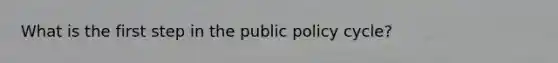 What is the first step in the public policy cycle?