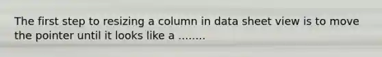 The first step to resizing a column in data sheet view is to move the pointer until it looks like a ........