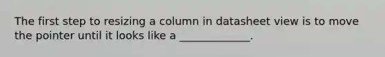 The first step to resizing a column in datasheet view is to move the pointer until it looks like a _____________.