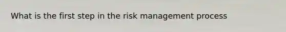 What is the first step in the risk management process