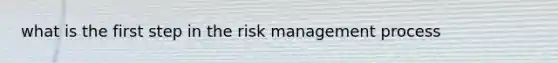 what is the first step in the risk management process