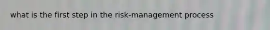 what is the first step in the risk-management process